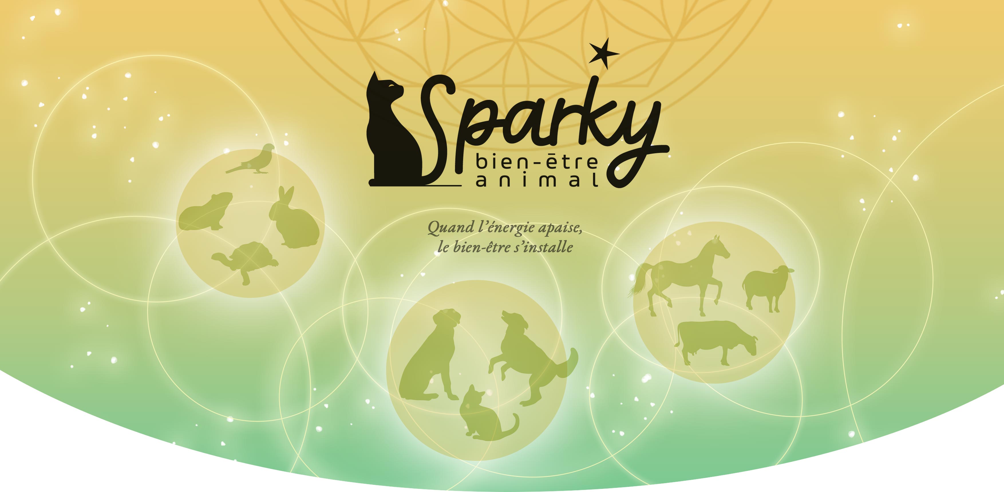 Sparky bien-être animal : Quand l'énergie apaise, le bien-être s'installe - séances énergétiques pour animaux